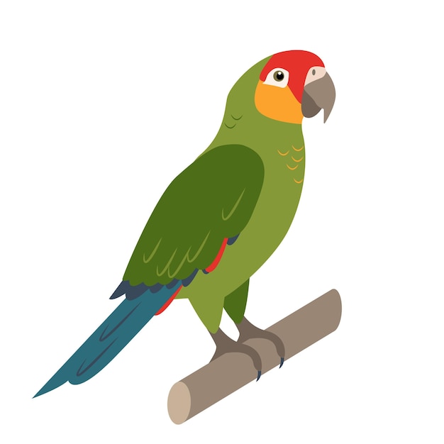 Icono de pájaro loro mascota de loro verde lindo animal tropical exótico