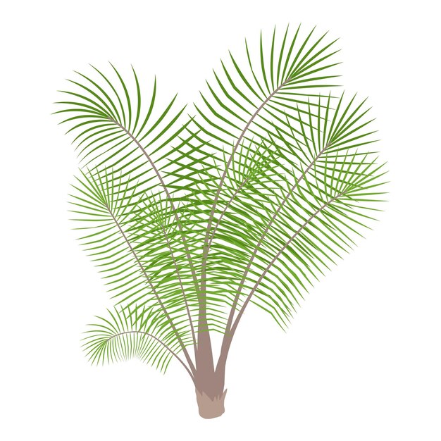 Vector icono de la palma de bambú ilustración animada del ícono vectorial de la palmera de bambú para la web