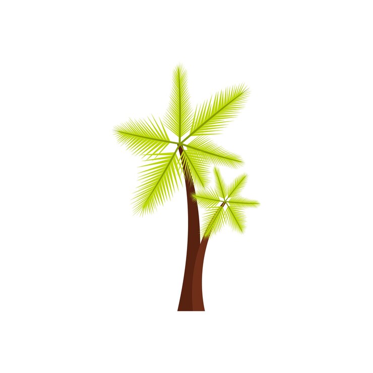 Vector icono de palmera alta en estilo plano aislado sobre fondo blanco símbolo de flora