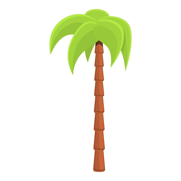 Icono de palmera graciosa Icono vectorial de palmera grácil para el diseño web aislado sobre fondo blanco