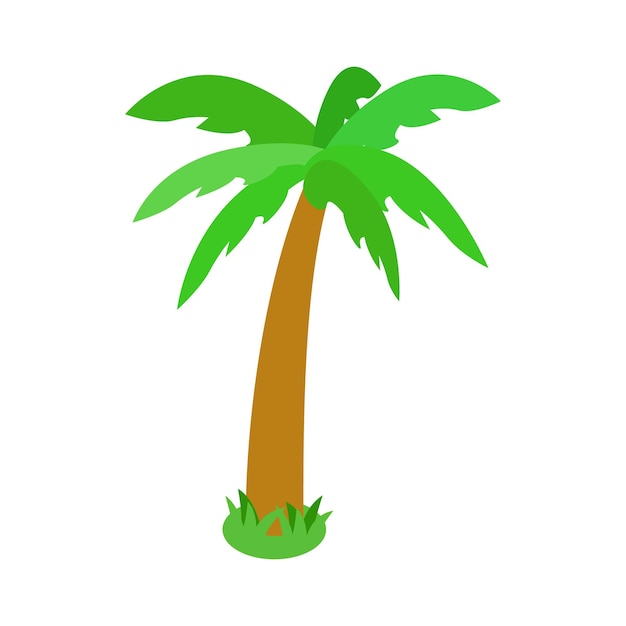 Icono de palmera de pie único en estilo isométrico 3d aislado sobre fondo blanco