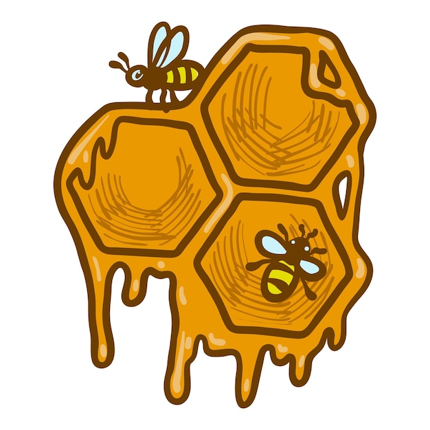 Icono de panal Ilustración dibujada a mano del icono de vector de panal para diseño web