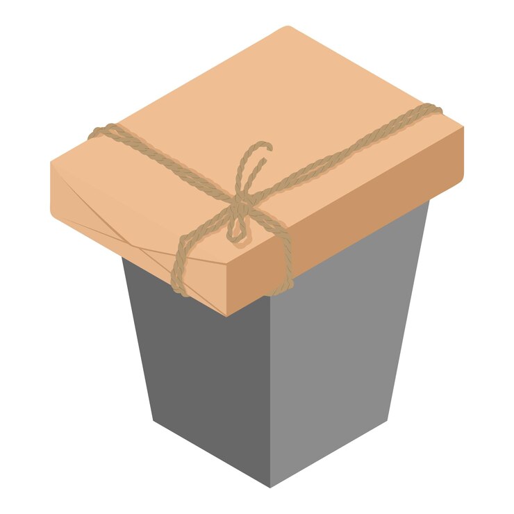 Vector icono de paquete de correo ilustración isométrica del icono de vector de paquete de correo para web