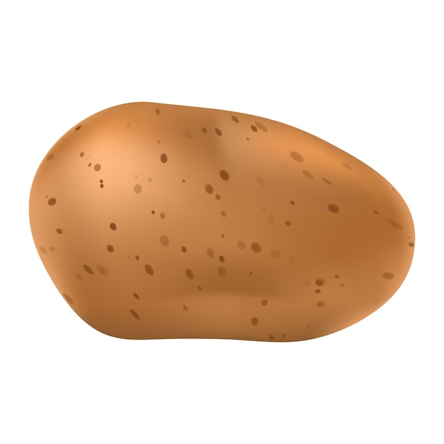 Icono de patata entera Ilustración realista del icono de vector de patata entera para diseño web aislado sobre fondo blanco