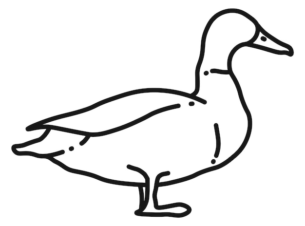 Vector icono de pato símbolo de pájaro de granja de línea negra