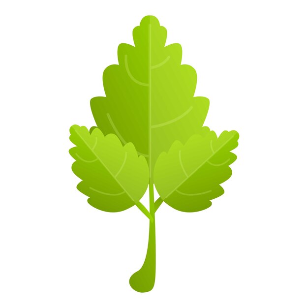 Icono de perejil saludable vector de dibujos animados planta hierba hoja comida fresca
