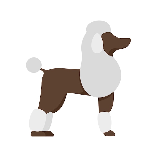 Vector icono de perro caniche ilustración plana del icono de vector de perro caniche aislado sobre fondo blanco