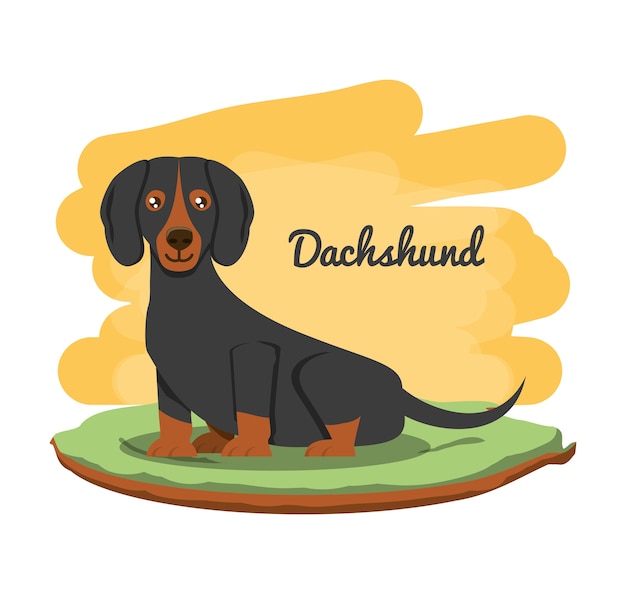 Vector icono de perro dachshund