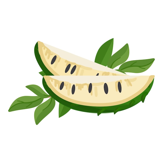 Icono de piezas de guanábana vector de dibujos animados Árbol de hoja Planta tropical