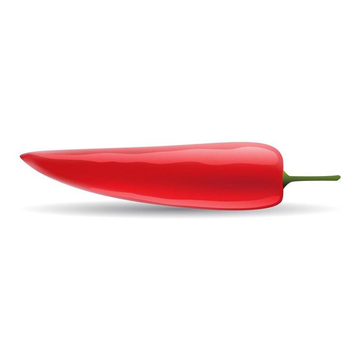 Vector icono de pimiento rojo brillante