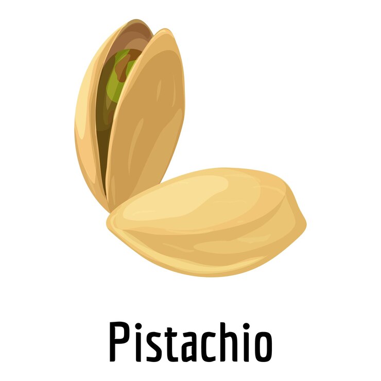 Vector icono de pistacho icono vectorial de pistacho para el diseño web aislado en fondo blanco
