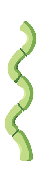 Icono plano de árbol de bambú curvo
