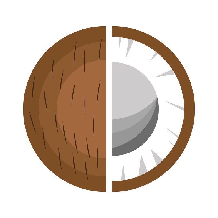 Vector icono plano de coco