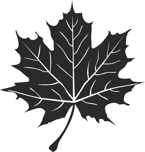 Icono plano de hoja de arce negra en vector de fondo blanco