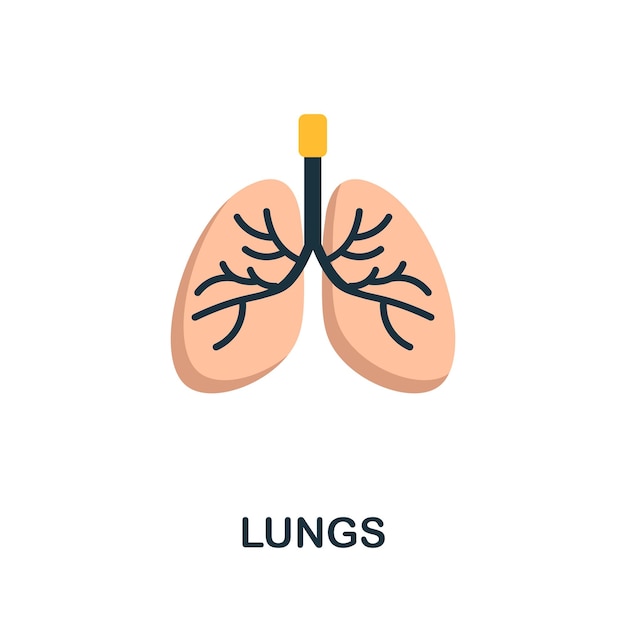 Icono plano de pulmones Signo de color de la colección de oxígeno Ilustración de icono de pulmones creativos para infografías de diseño web y más