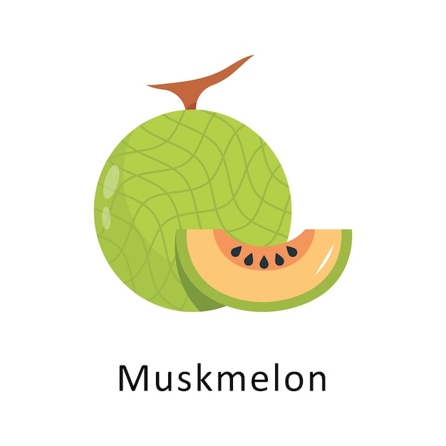 Icono plano vectorial de melón Ilustración de diseño Símbolo en fondo blanco Archivo EPS 10