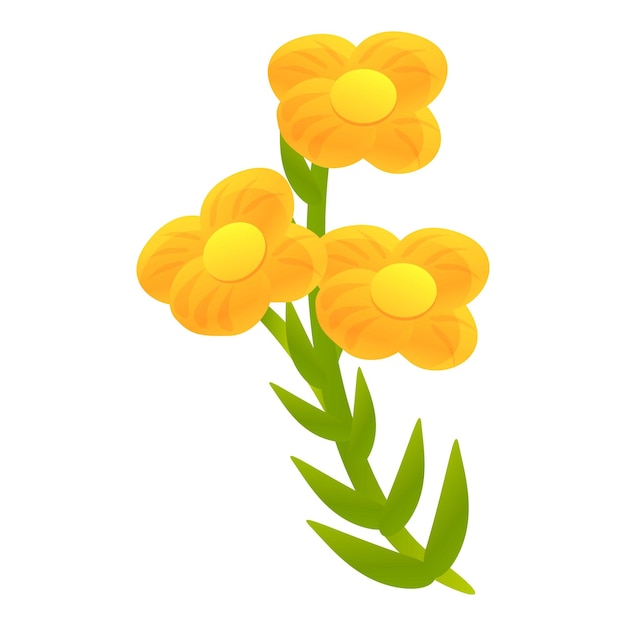 Icono de planta de flor de canola Caricatura de icono de vector de planta de flor de canola para diseño web aislado sobre fondo blanco