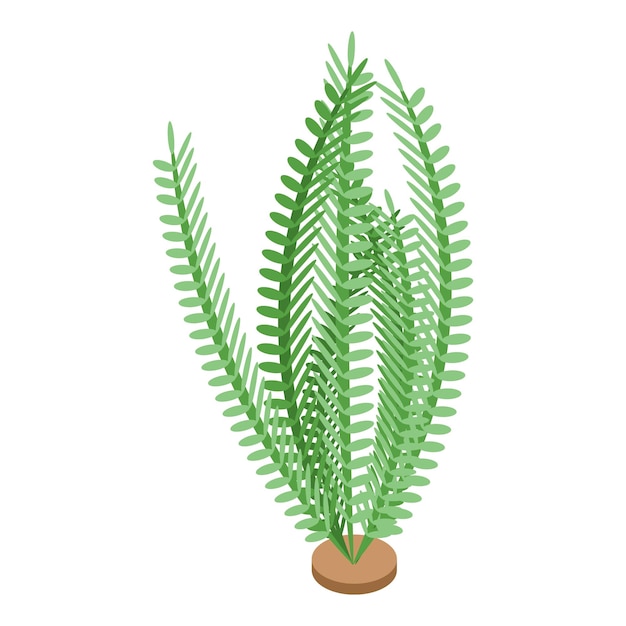 Icono de planta oceánica vector isométrico Alga marina Agua acuática