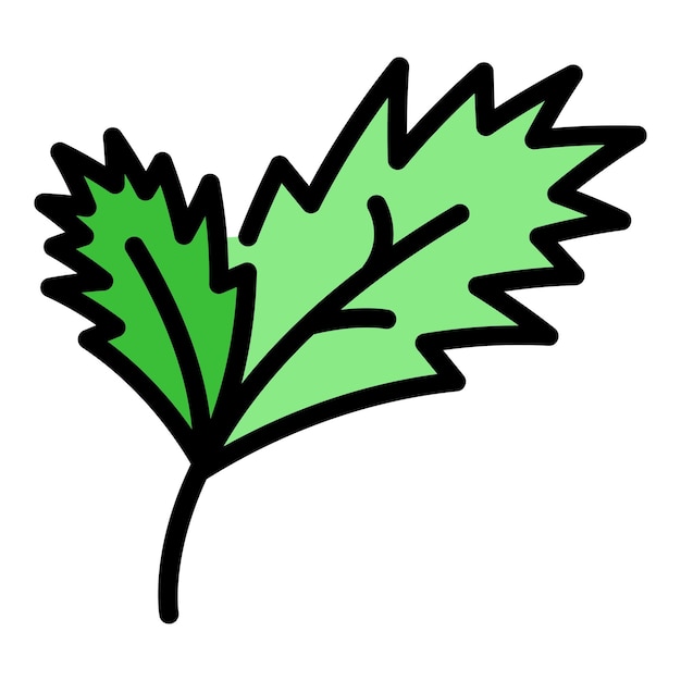 Ícono de la planta de perejil Contorno del ícono vectorial de la planta del perejil Color plano aislado