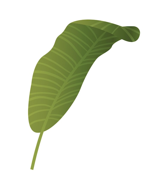 Vector icono de plantas tropicales