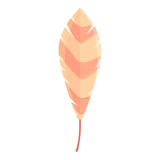Icono de pluma chamánica Icono vectorial de pluma xamánica para diseño web aislado sobre fondo blanco