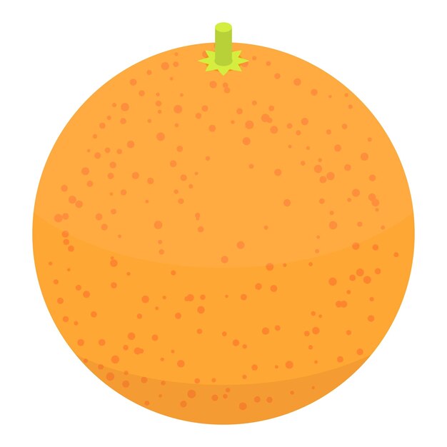 Vector icono de pomelo entero isométrico de icono de vector de pomelo entero para diseño web aislado sobre fondo blanco