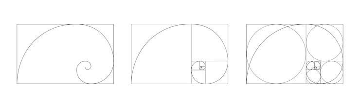 Vector icono de proporción áurea espiral logarítmica en marco rectangular signo de secuencia de fibonacci