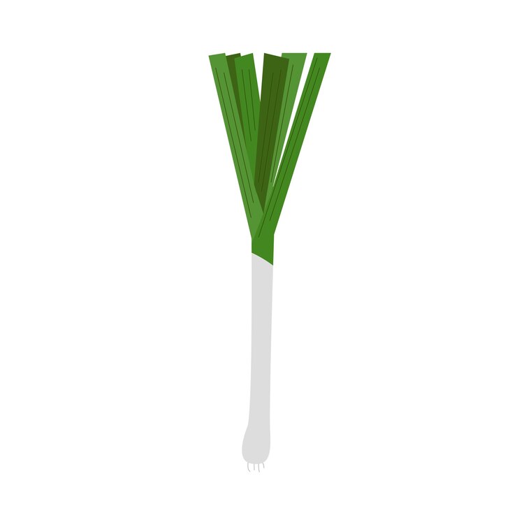 Vector icono de puerro cebollas verdes chalote dibujado a mano alimentos saludables y verduras frescas stock vector plano