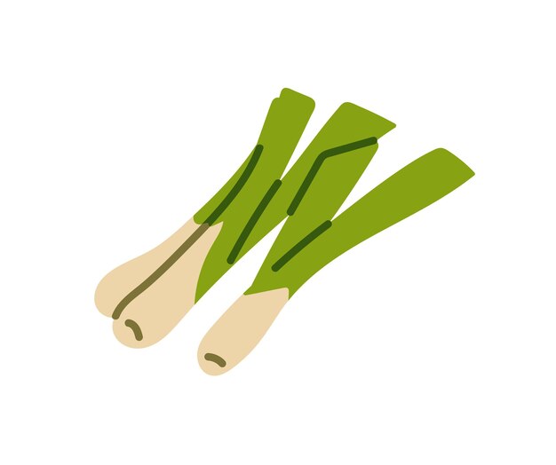 Icono de puerro fresco o apio cebolla verde natural alimentos de granja saludables cultivo agrícola para comer verduras orgánicas cultivo de vegetales agricultor cosecha ilustración de vector aislado plano en fondo blanco