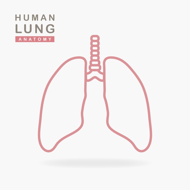 Icono de pulmones aislado sobre fondo blanco.