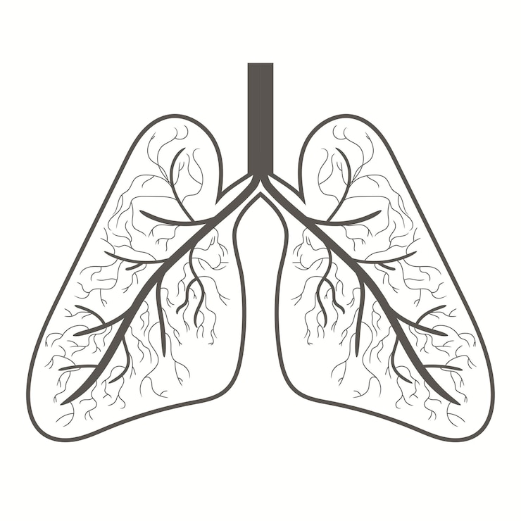 Vector icono de pulmones estilo plano órganos internos del logotipo del elemento de diseño humano concepto de medicina de anatomía
