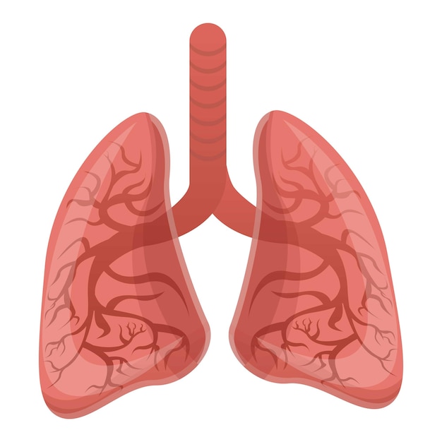 Icono de pulmones sanos Icono vectorial de pulmones saludables para el diseño web aislado sobre fondo blanco