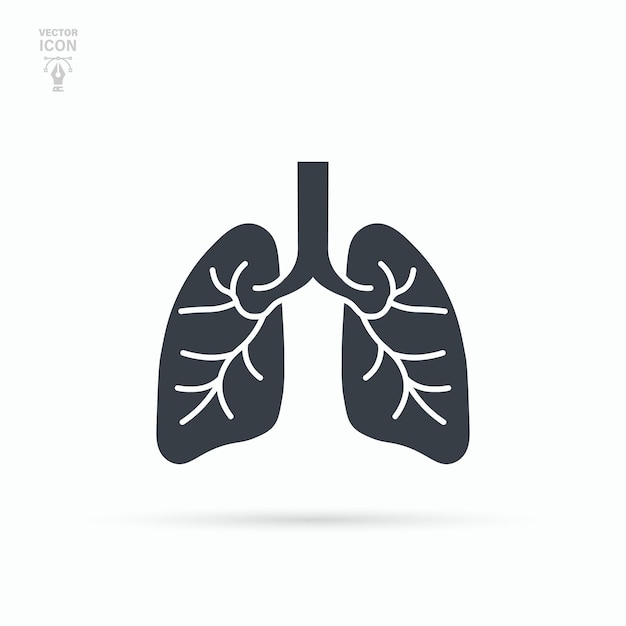 Icono de los pulmones Sistema respiratorio pulmón sano órgano médico plano