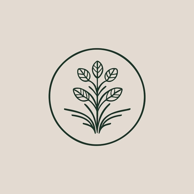 Vector icono que simboliza el crecimiento y la naturaleza ilustración simple de ramas con hojas entre el marco