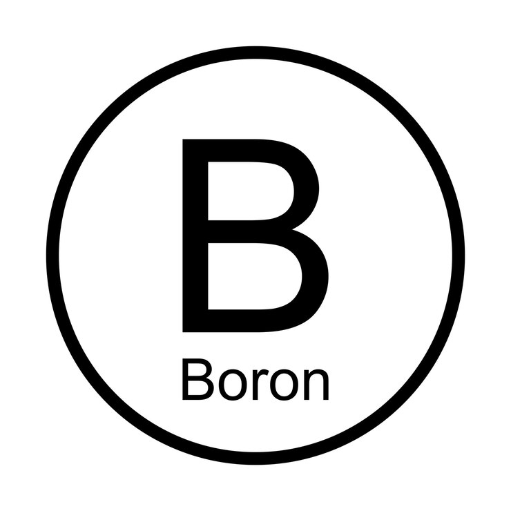Vector ícono químico periódico boro