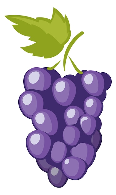 Icono de racimo de uva Baya de vino natural de dibujos animados