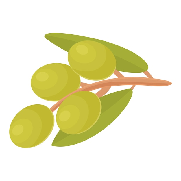 Icono de rama de aceitunas verdes vector de dibujos animados alimento de oliva planta extra