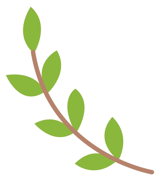 Vector icono de rama de árbol de hojas verdes símbolo lindo de la naturaleza aislado sobre fondo blanco