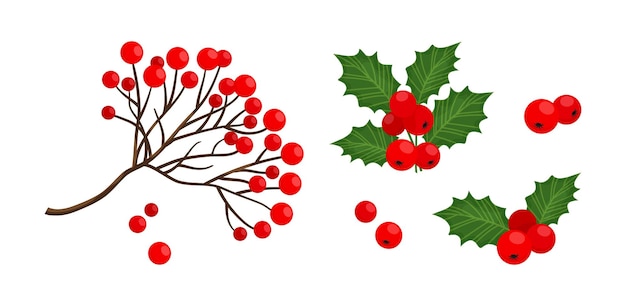 Icono de rama de baya de acebo y baya de serbal rojo, símbolos navideños, plantas navideñas, ilustración de invierno