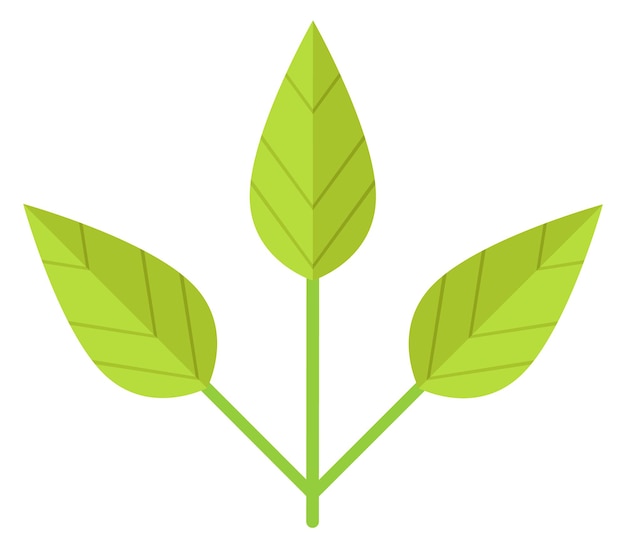 Icono de rama de hojas verdes símbolo de planta natural