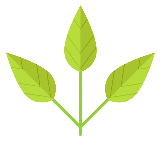 Icono de rama de hojas verdes Símbolo de planta natural