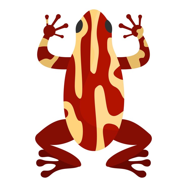 Vector icono de rana ilustración de dibujos animados de icono de vector de rana para web