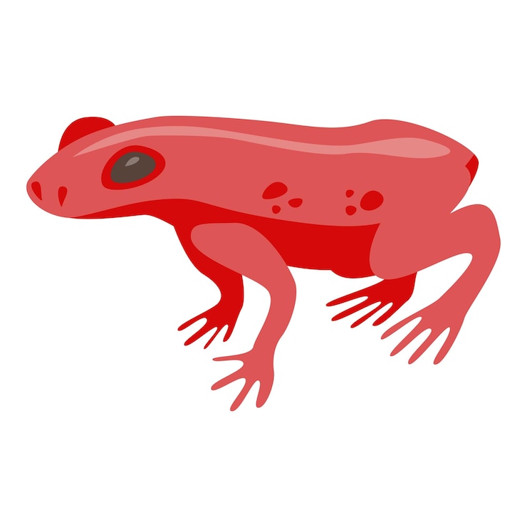 Vector icono de rana tropical roja isométrica de icono de vector de rana tropical roja para diseño web aislado sobre fondo blanco