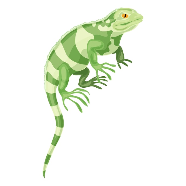 Icono de reptil Khameleon Caricatura de icono de vector de reptil Khameleon para diseño web aislado sobre fondo blanco