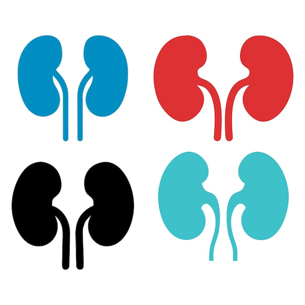 Icono de riñón humano establecido en varios colores diseño de logotipo de ilustración vectorial de icono de riñón