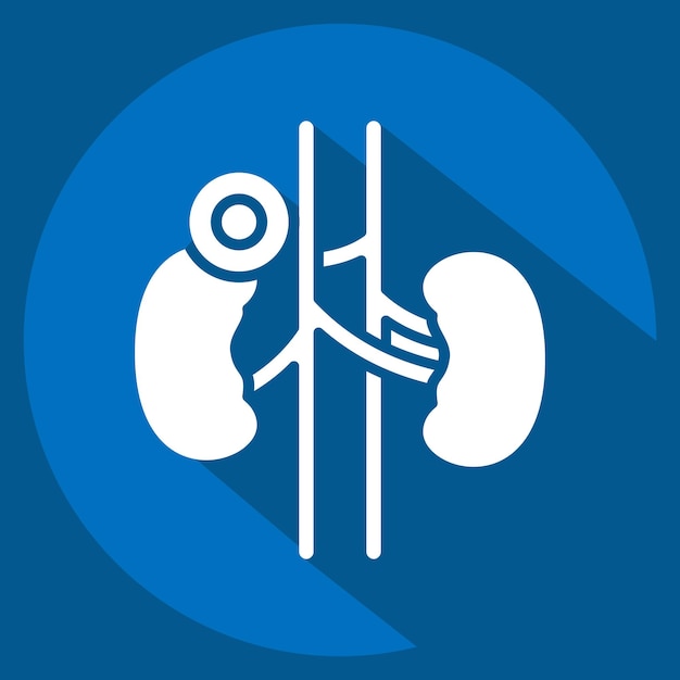 Icono riñón relacionado con el cuerpo dolor símbolo sombra larga estilo diseño simple editable