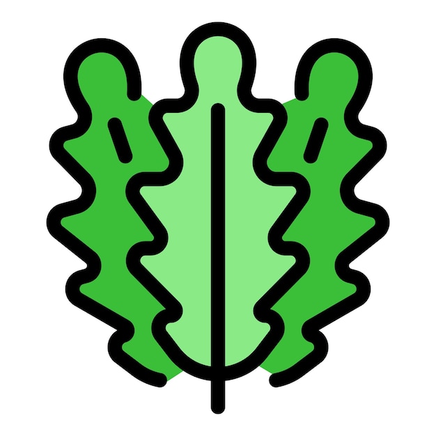Icono de la rúcula de la cocina Contorno del icono vectorial de la rúpula de la cociña Color plano aislado