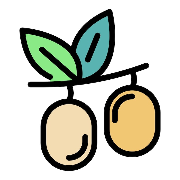 El icono de las semillas de jojoba Contorno del icono vectorial de las semilla de jojoba Color plano aislado