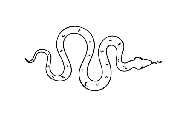 Icono de la serpiente dibujado a mano en la vista superior Dibujo de esquema de serpiente aislada sobre fondo blanco