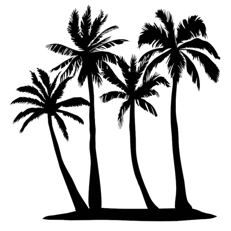 Vector icono de silueta de árbol de palma solo vector negro aislado